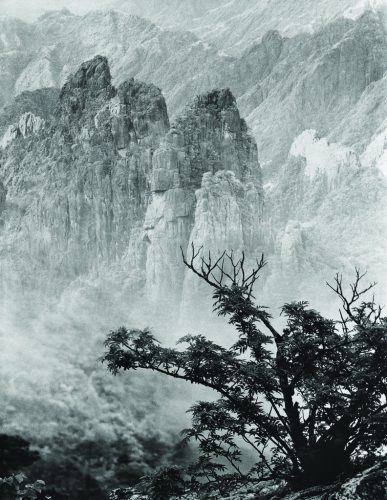 春樹奇峰,郎靜山